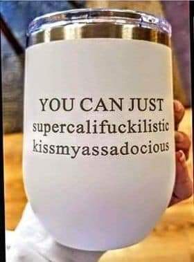 Supercalifuckilistic Stemless Wine Glass.